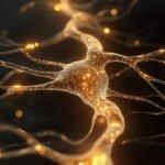 Lire la suite à propos de l’article Magnétisme et neurosciences : comment apaiser le stress et rééquilibrer le corps.